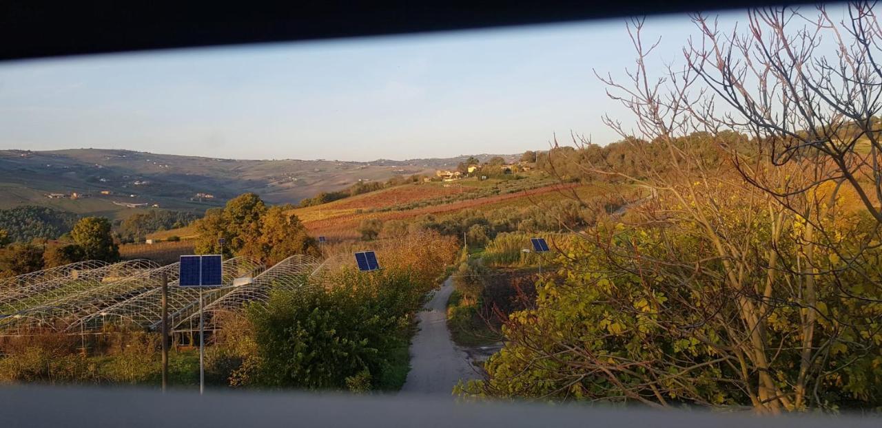 Masseria Frangiosa Torrecuso Esterno foto
